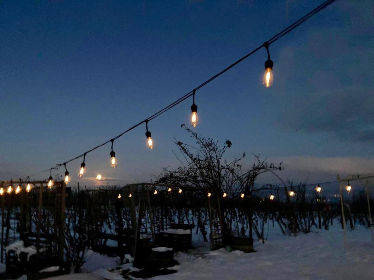 Cascina La Maddalena Bed & Wine Βίλα Rocca Grimalda Εξωτερικό φωτογραφία