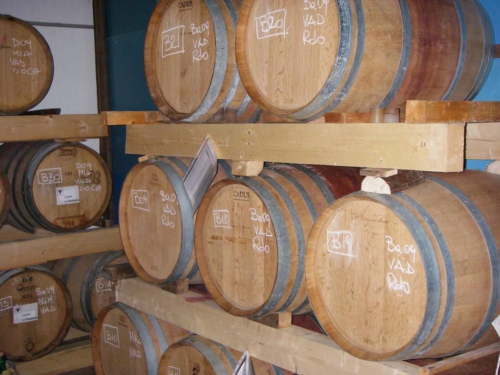 Cascina La Maddalena Bed & Wine Βίλα Rocca Grimalda Εξωτερικό φωτογραφία