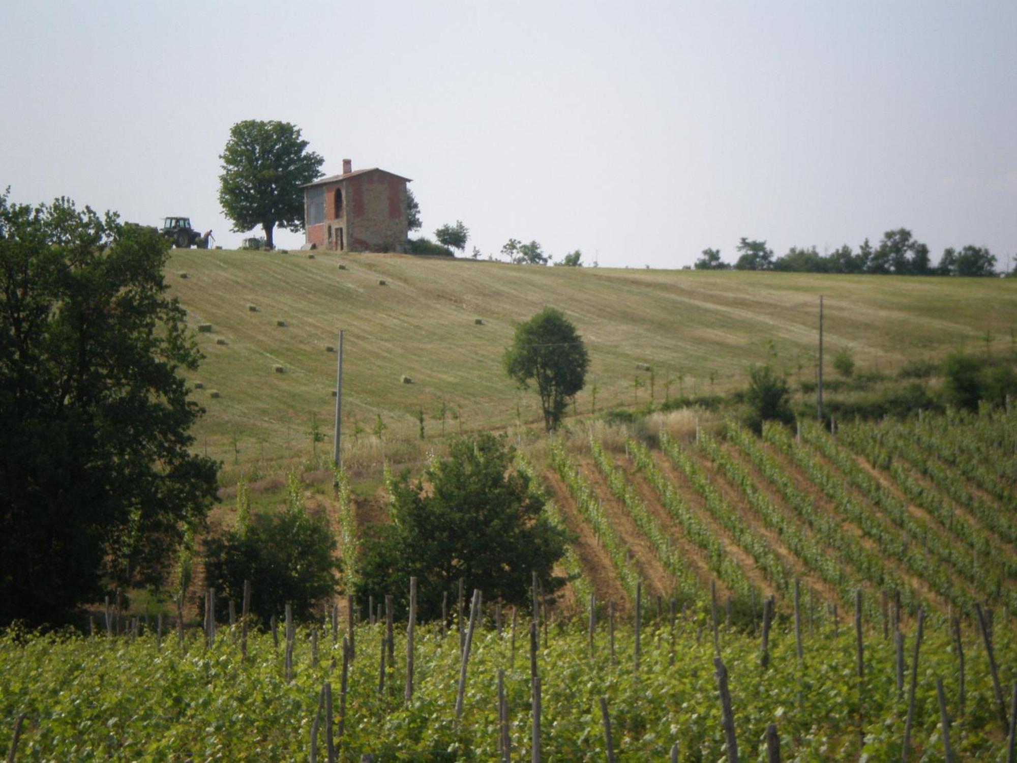 Cascina La Maddalena Bed & Wine Βίλα Rocca Grimalda Εξωτερικό φωτογραφία