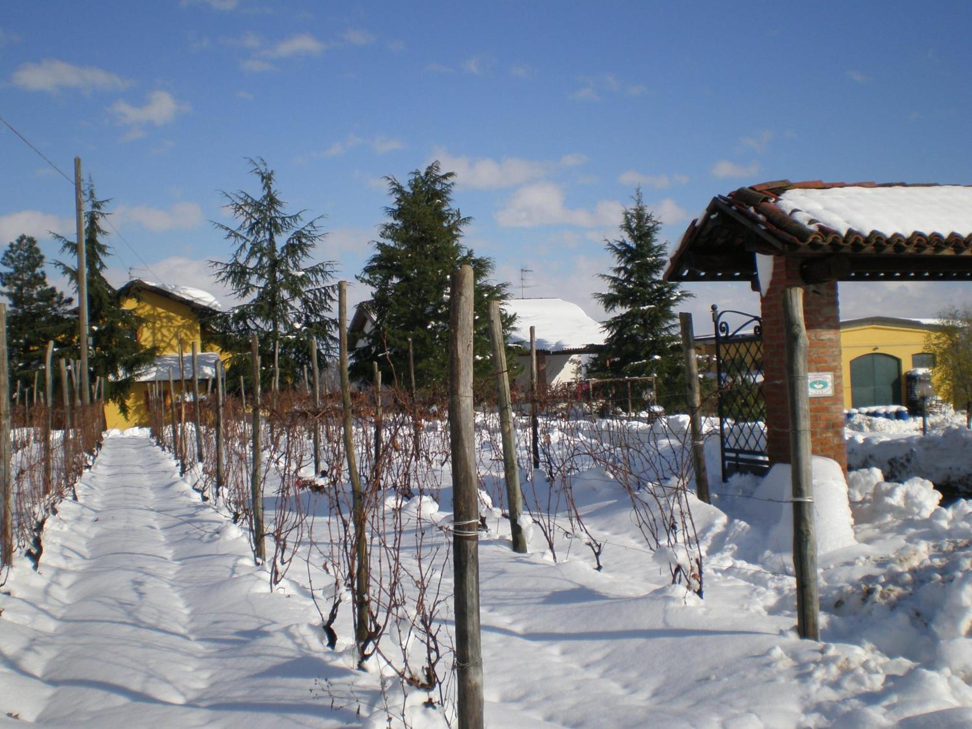 Cascina La Maddalena Bed & Wine Βίλα Rocca Grimalda Εξωτερικό φωτογραφία
