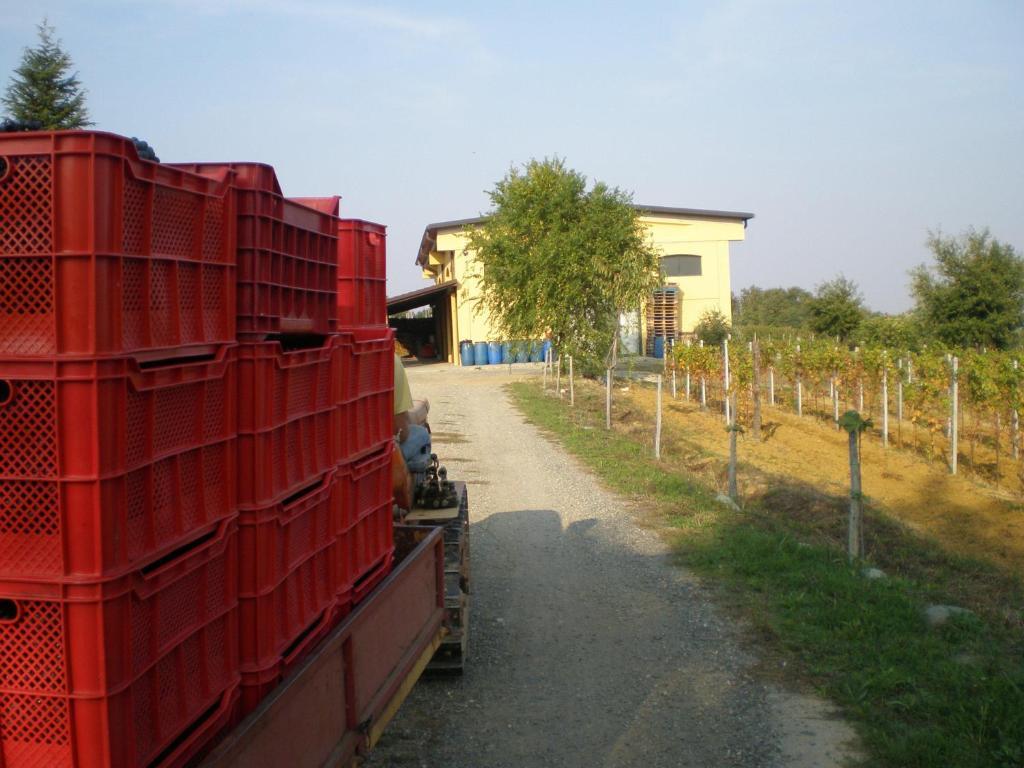 Cascina La Maddalena Bed & Wine Βίλα Rocca Grimalda Εξωτερικό φωτογραφία