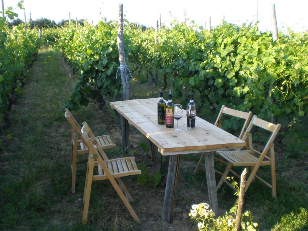 Cascina La Maddalena Bed & Wine Βίλα Rocca Grimalda Εξωτερικό φωτογραφία